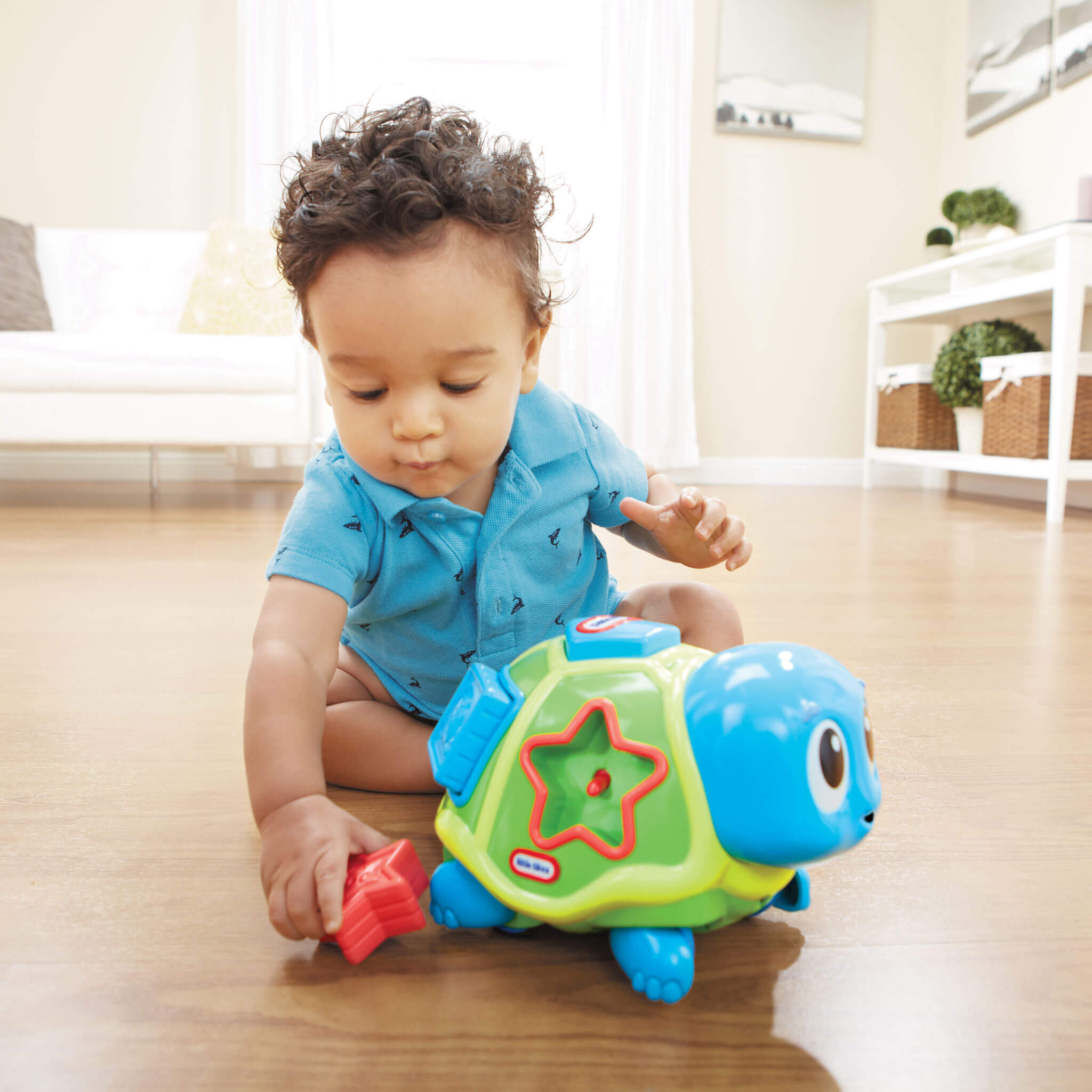 Crawl 'n Pop! Turtle - Image 2